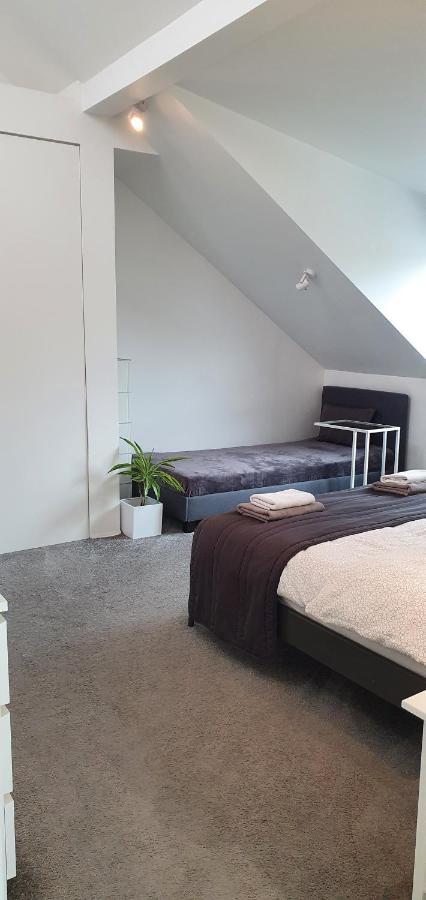 Loft 85 M2 Wilanow Krolewski Self Checkin وارسو المظهر الخارجي الصورة