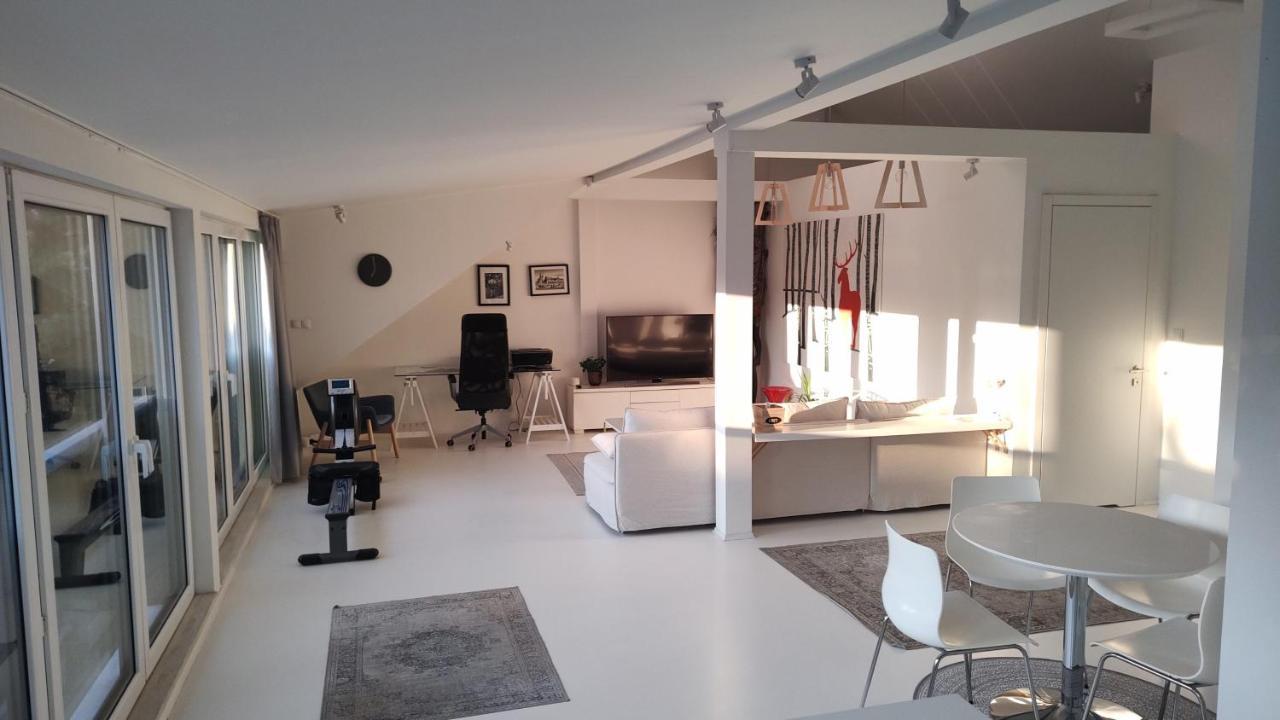 Loft 85 M2 Wilanow Krolewski Self Checkin وارسو المظهر الخارجي الصورة